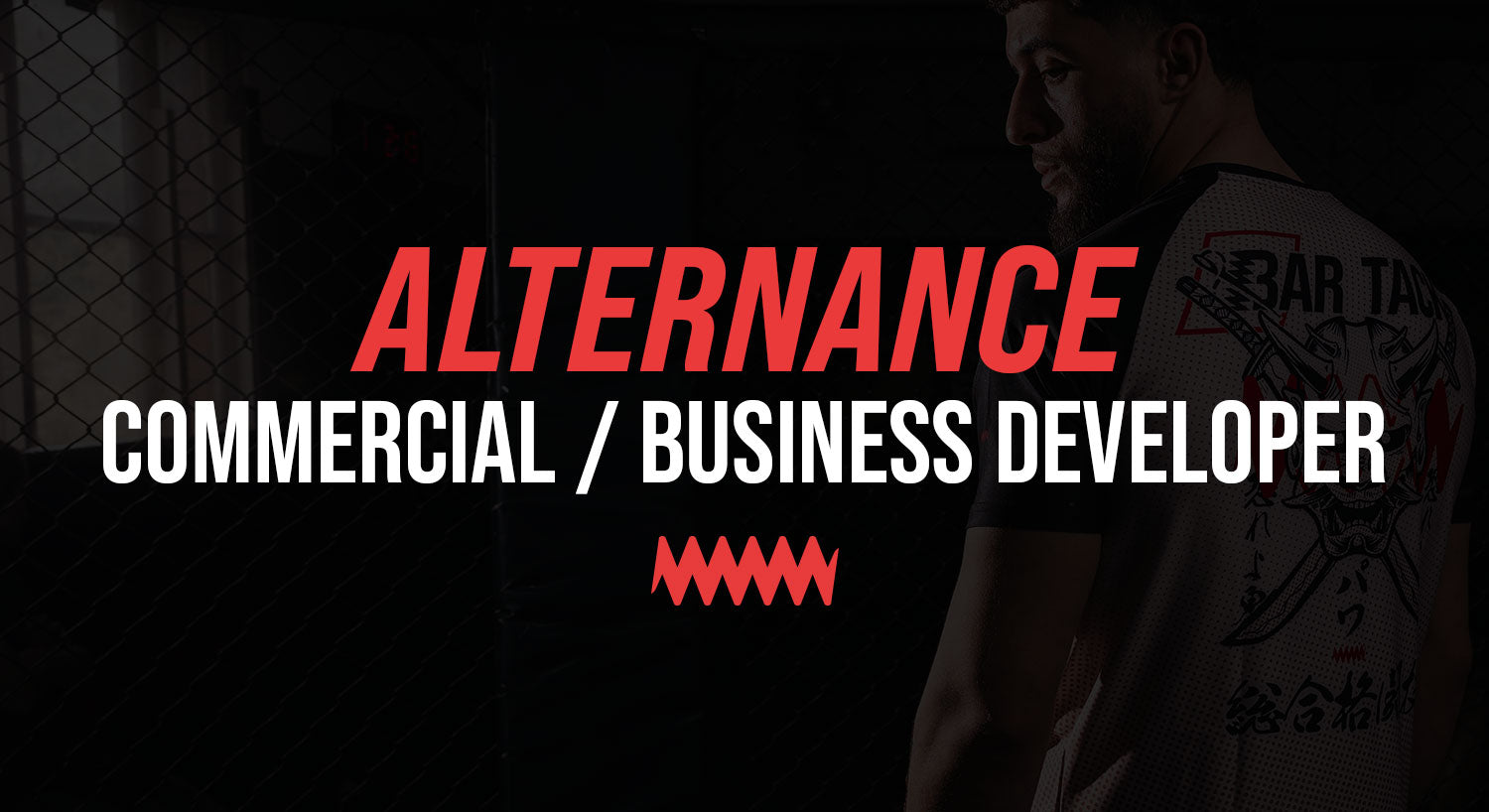 Commercial / Business developer (H/F) - Alternance