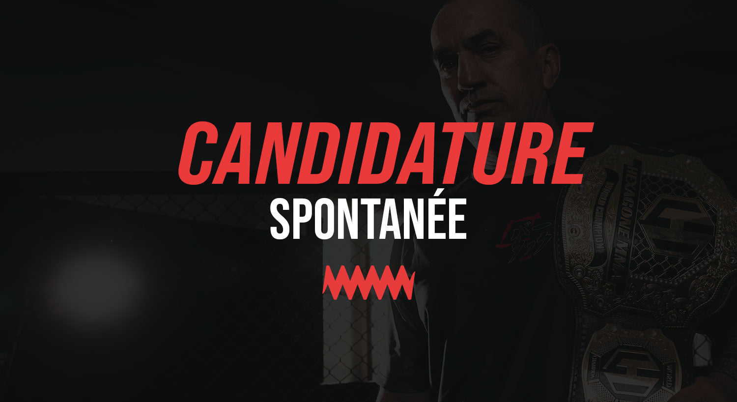 Candidature Spontanée