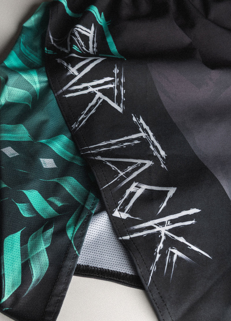 Short de MMA AeroMax™ "ODIN" - Gris/Cyan